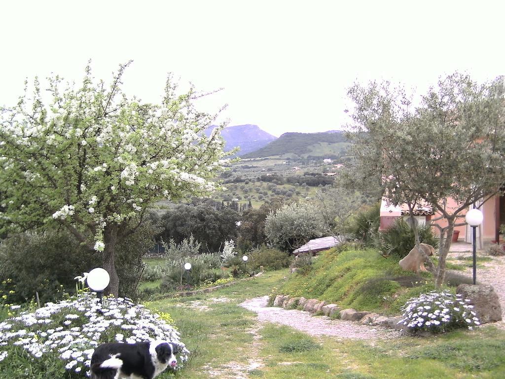B&B Valli Verdi Αλγκέρο Εξωτερικό φωτογραφία