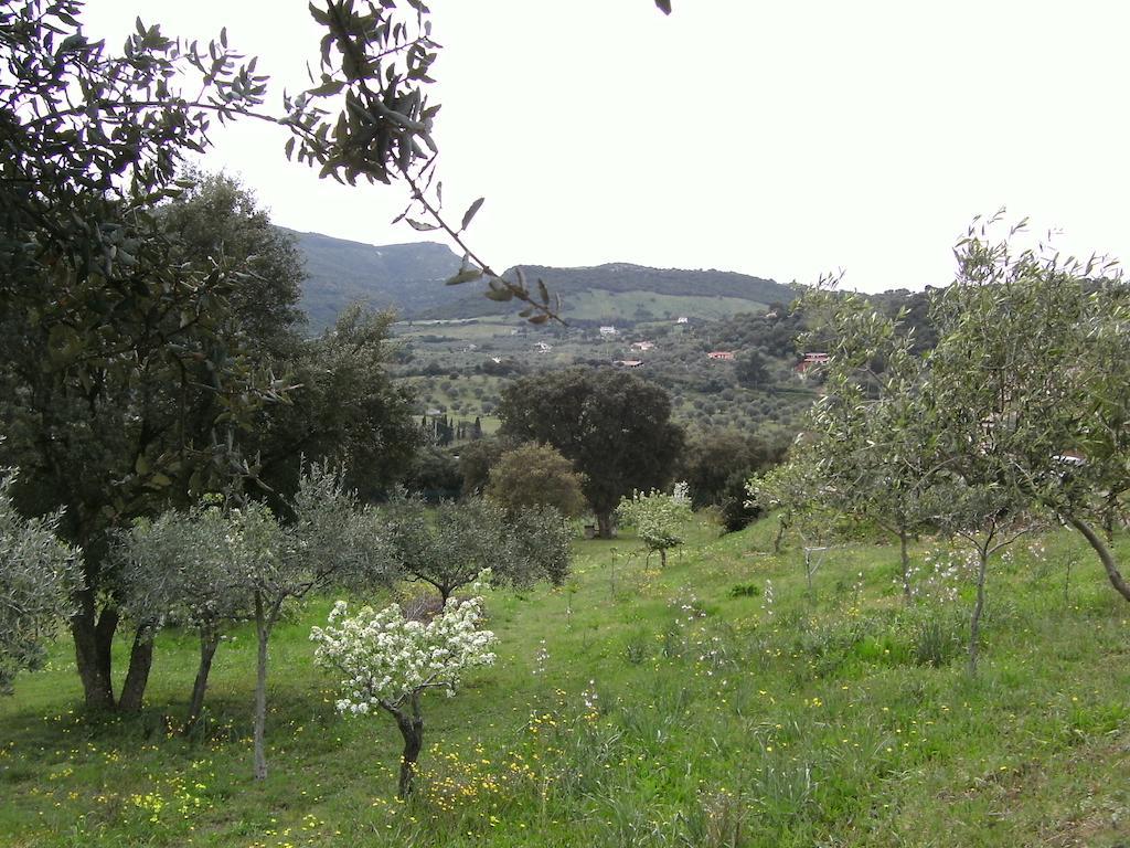 B&B Valli Verdi Αλγκέρο Εξωτερικό φωτογραφία